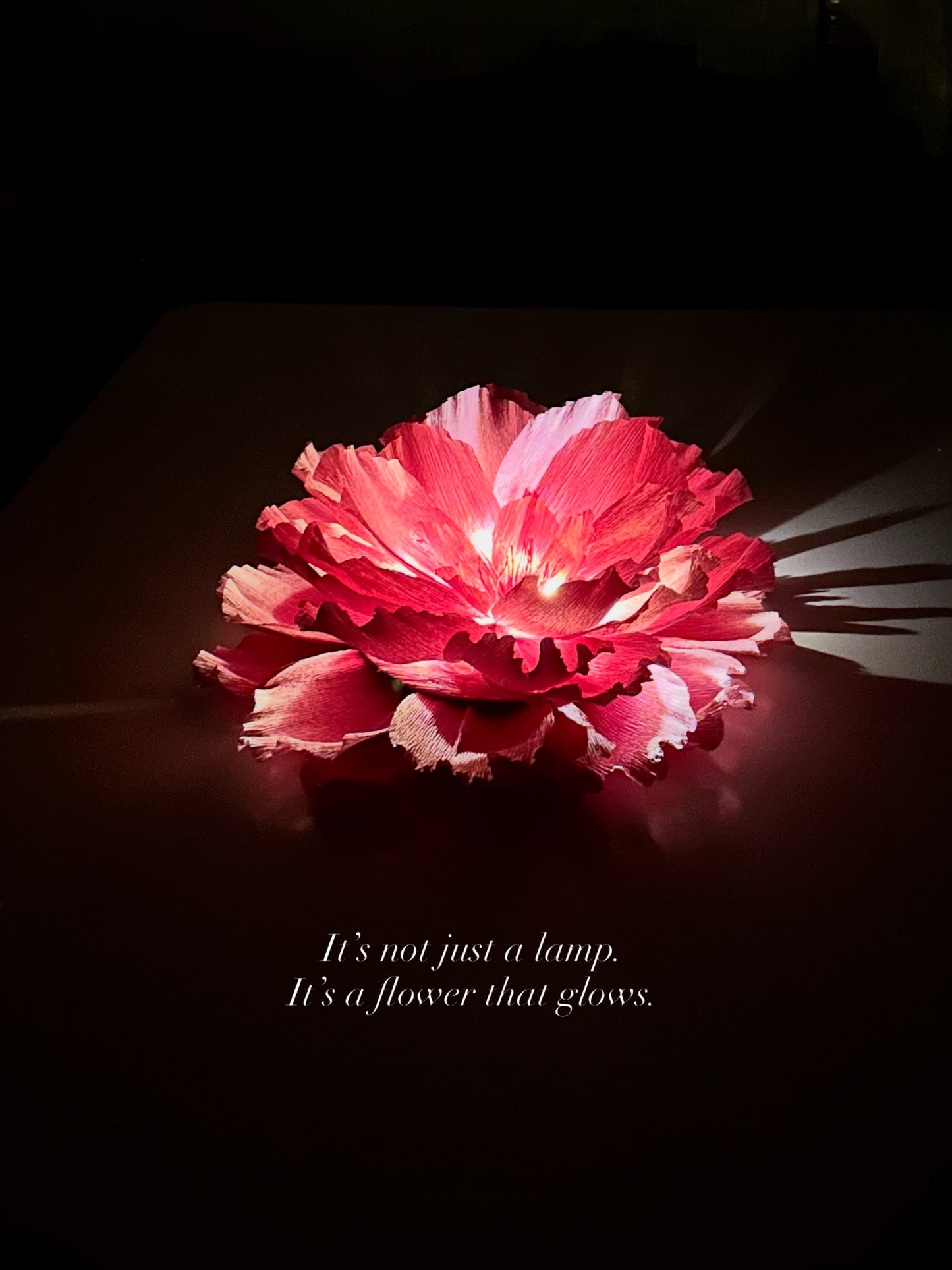 Heavenly Lumière Lamp