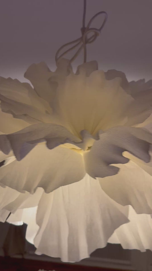 Heavenly Bloom-Cloud